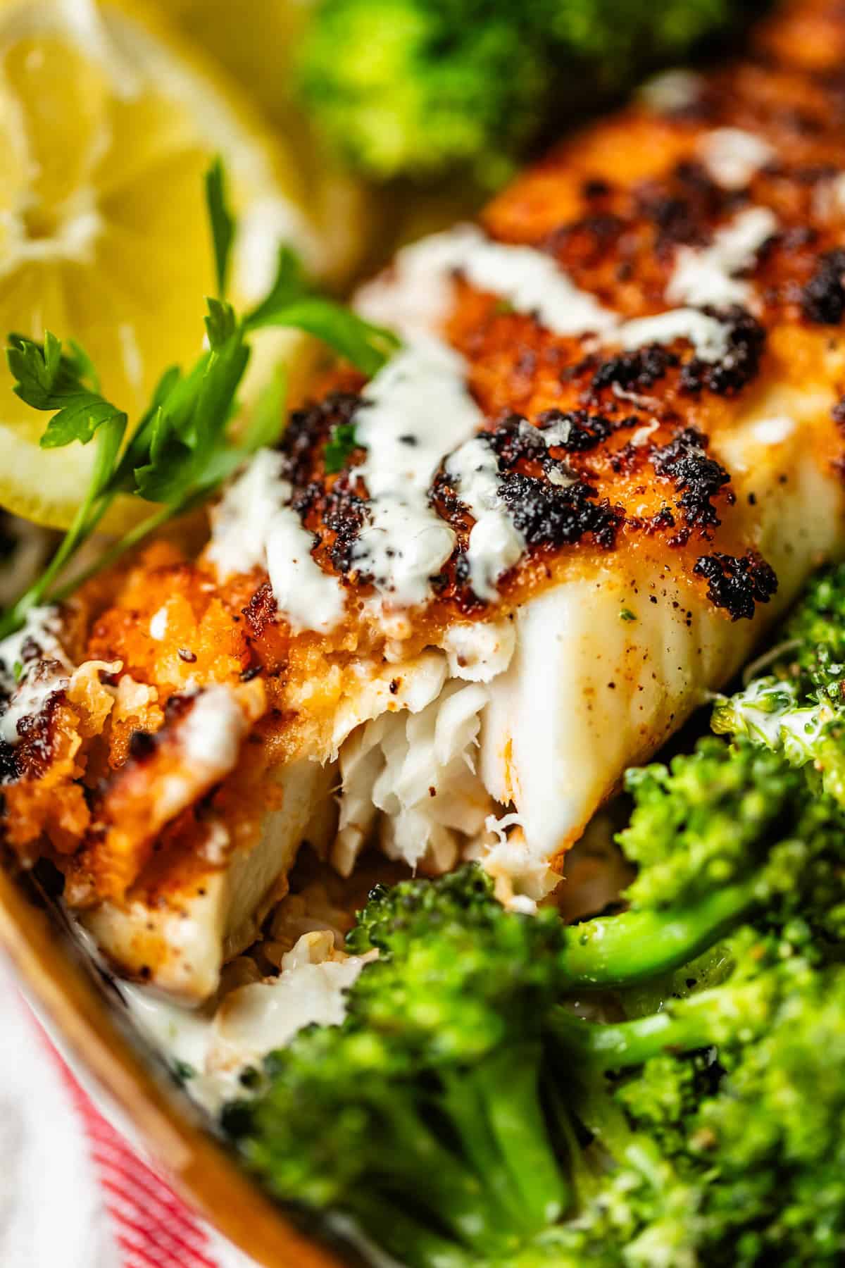 A close-up of a golden, crispy fish fillet drizzled with creamy sauce, served with bright green broccoli and garnished with lemon slices and fresh parsley.