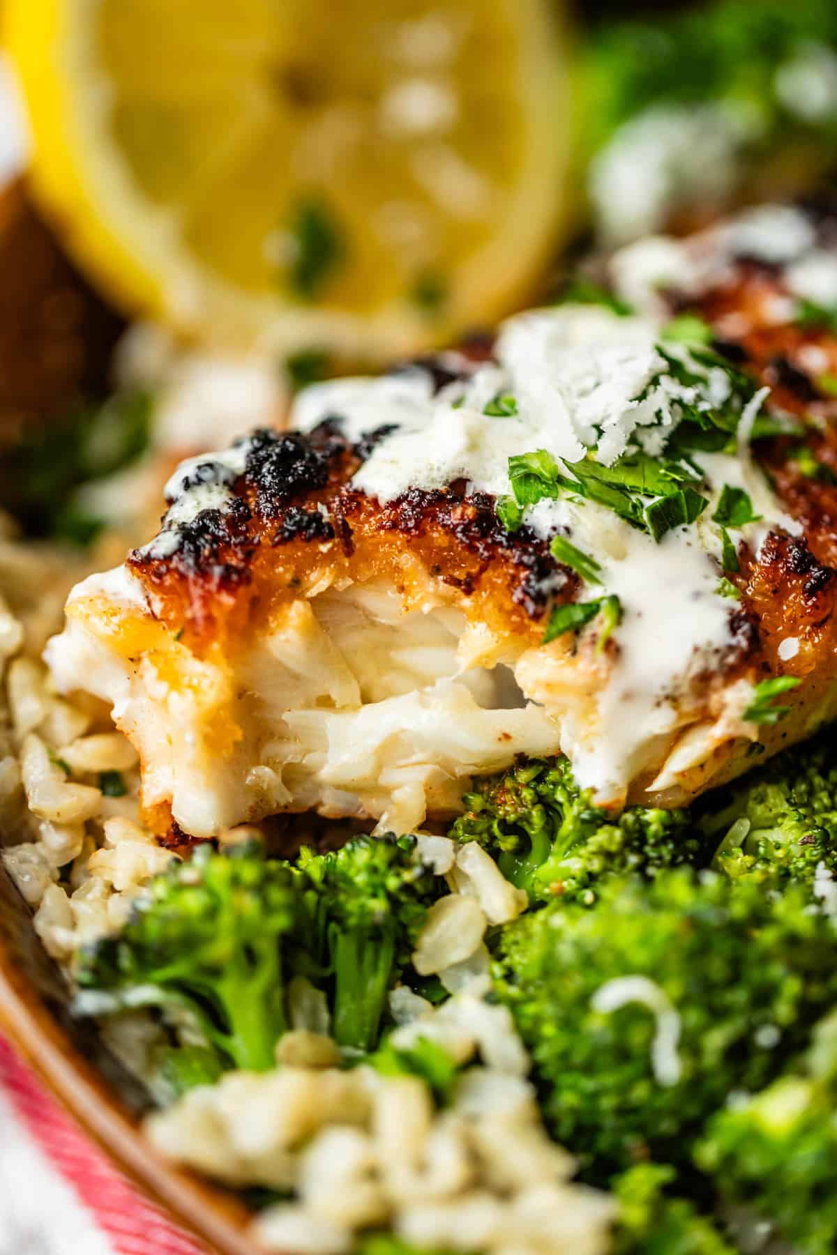 Close-up of a piece of seasoned, flaky white fish topped with creamy sauce and herbs, served over steamed broccoli and brown rice, with a lemon wedge in the background.