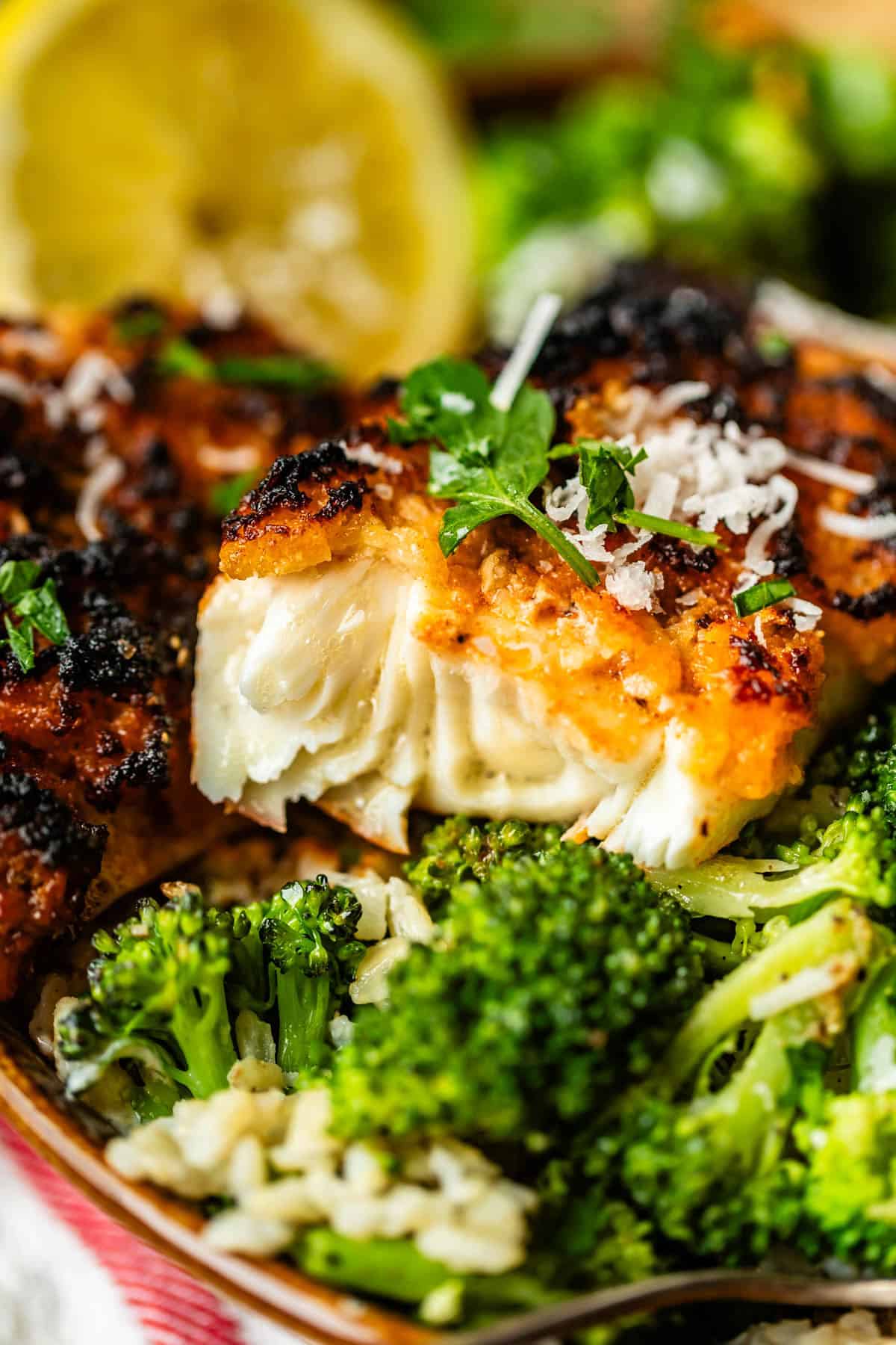 Close-up of a piece of flaky, grilled fish topped with herbs and grated cheese, served alongside steamed broccoli and a wedge of lemon in the background.