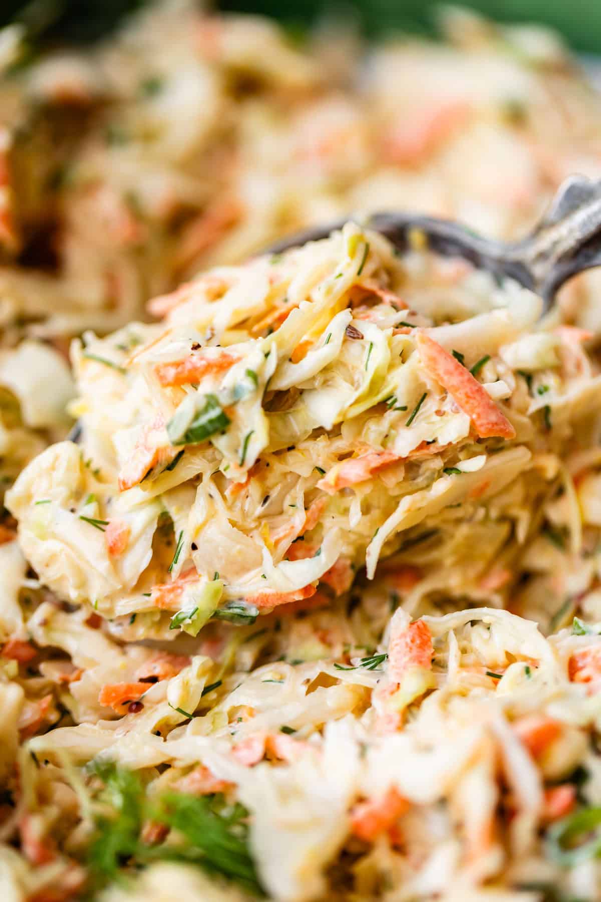 A close-up of creamy coleslaw with shredded cabbage, carrots, and fresh herbs being scooped with a fork.