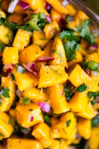 Close-up of fresh mango salsa with diced mango, red onion, cilantro, and jalapeño, mixed together and seasoned, showcasing vibrant yellow, green, and purple colors.