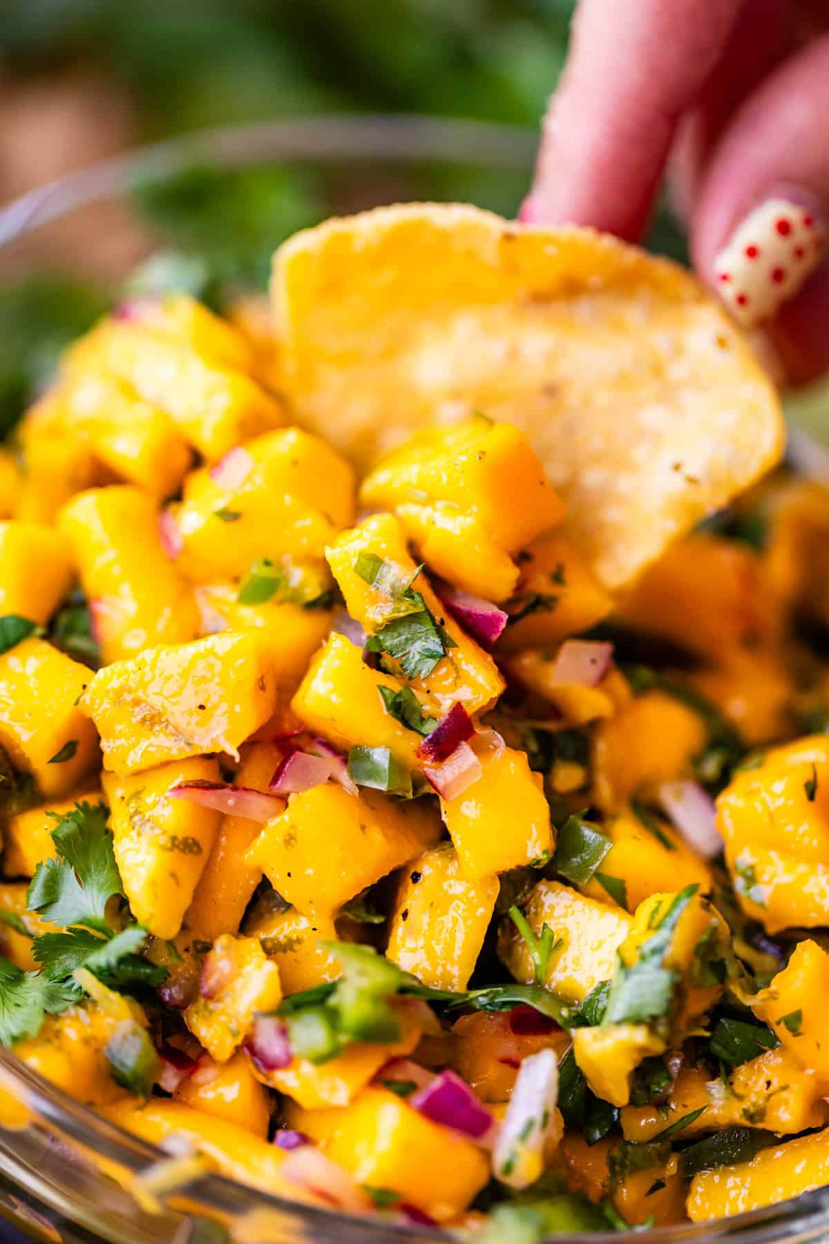 A close-up of mango salsa with diced mango, red onion, cilantro, and a hand holding a tortilla chip ready to scoop some.