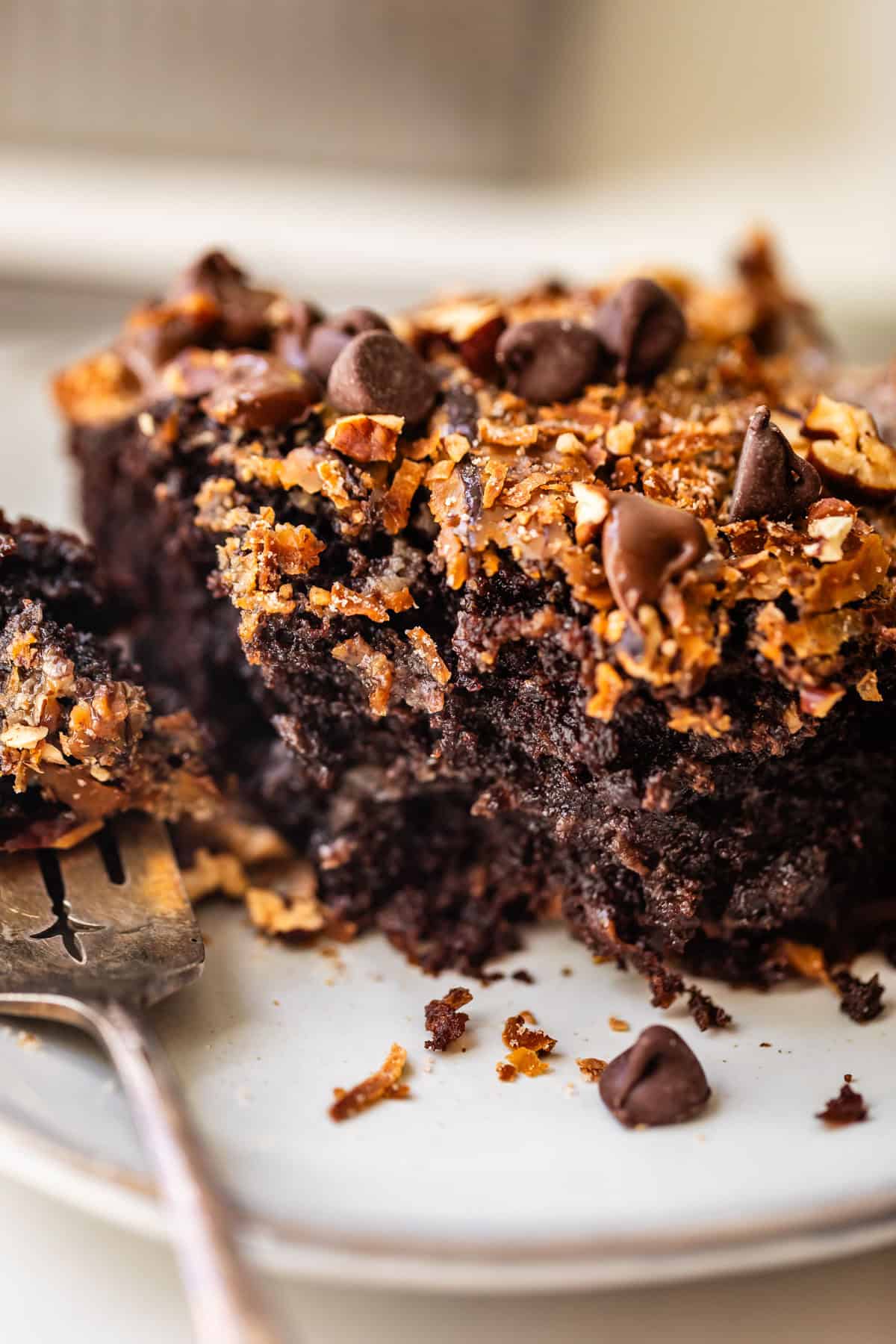 A piece of chocolate cake topped with chocolate chips and toasted coconut on a plate with a fork.