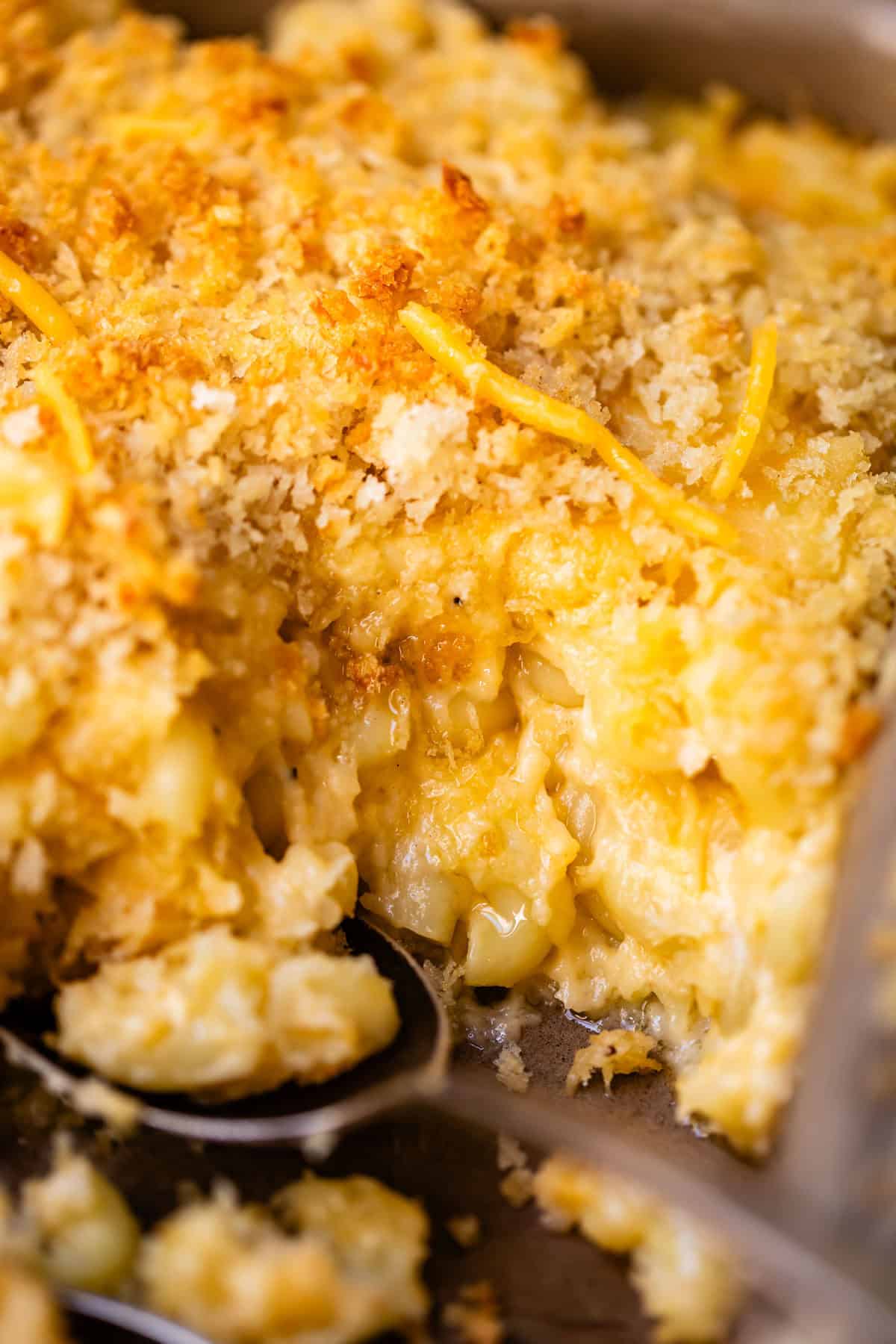 A metal spoon scooping baked macaroni and cheese topped with golden breadcrumbs.