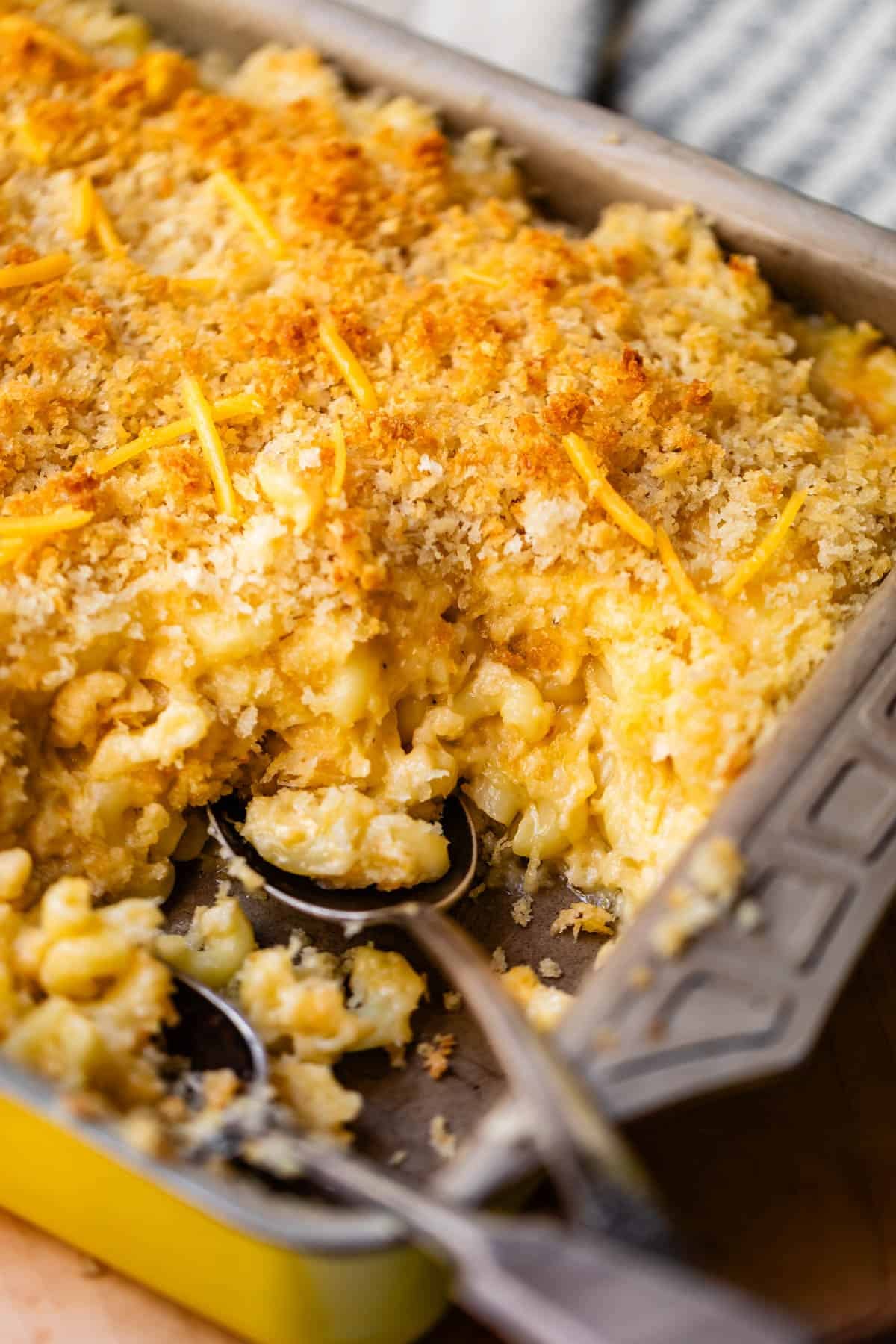 A baking dish of baked macaroni and cheese with a golden breadcrumb topping, shown with a metal serving spoon.