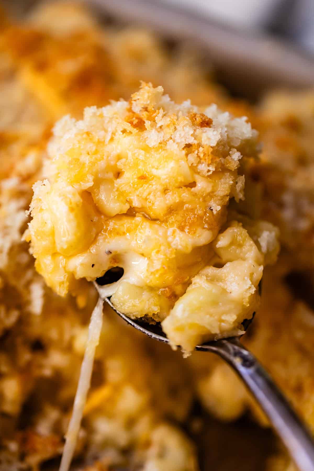 A spoonful of baked macaroni and cheese topped with golden breadcrumbs.