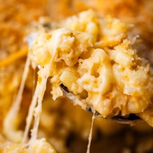 A spoonful of baked macaroni and cheese with long strands of melted cheese stretching down from the spoon.