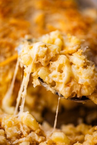 A spoonful of baked macaroni and cheese with long strands of melted cheese stretching down from the spoon.