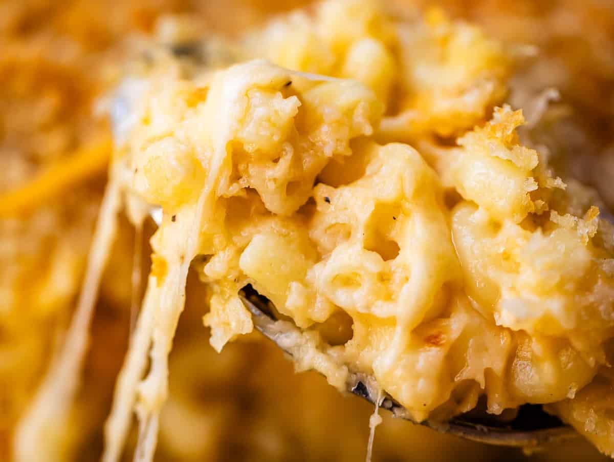 A spoonful of baked macaroni and cheese with melted, stringy cheese.
